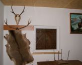 DSC00038.jpg