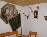 DSC00029.jpg
