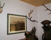 DSC00036.jpg