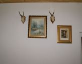 DSC00034.jpg