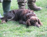 IMG_2337.jpg
