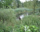 IMG_2326.jpg
